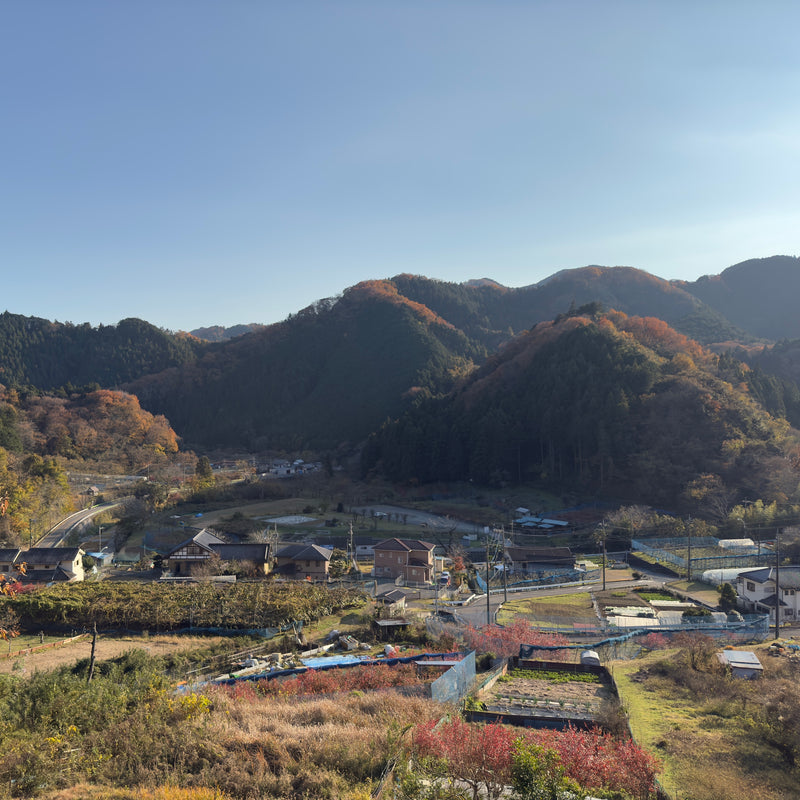 陣馬ライド